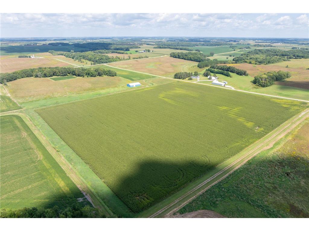 XXX 141st Avenue Montgomery MN 56069 6779770 image3