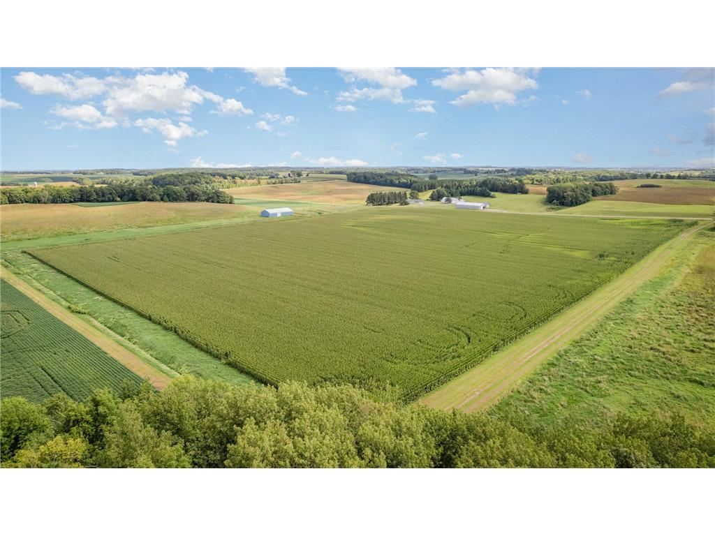 XXX 141st Avenue Montgomery MN 56069 6779770 image4