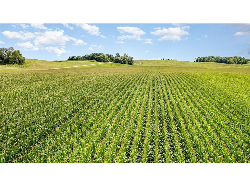 XXX 141st Avenue Montgomery MN 56069 6779770 image5