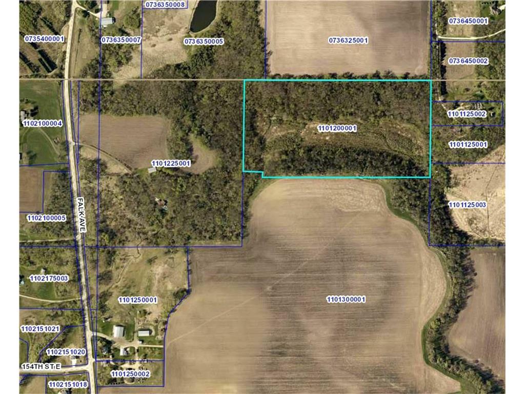XXX 145th Street E Cannon City Twp MN 55057 - Prairie Creek 6538255 image1