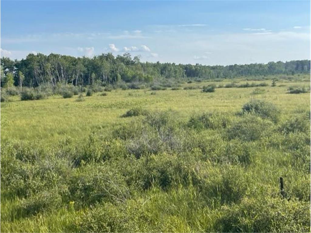 XXX 149th Avenue Menahga MN 56464 6414730 image1