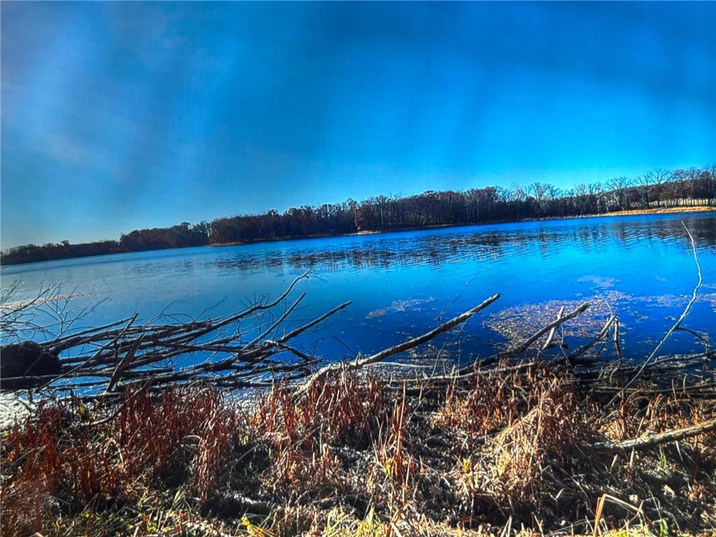 XXX 15th Ave Alden Twp WI 54026 6650966 image1