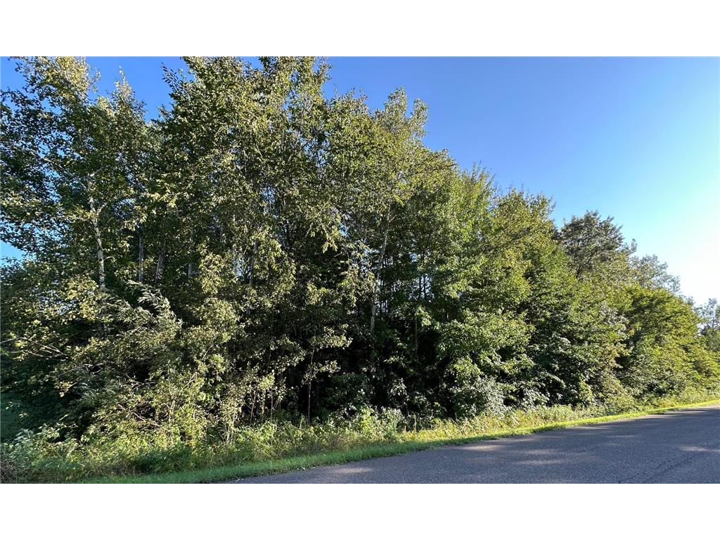 XXX 169th Avenue NE, Ham Lake, MN, 55304 MLS 6449486 Edina Realty