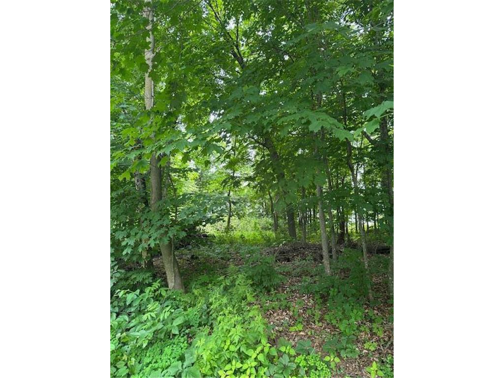 XXX 170th Avenue Balsam Lake WI 54824 6741614 image1