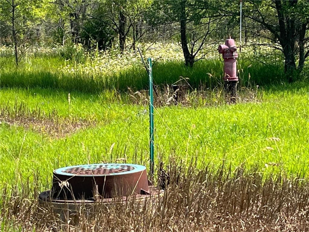 XXX 176th Street SW Big Lake MN 55309 - Preusse Lake 6682537 image2