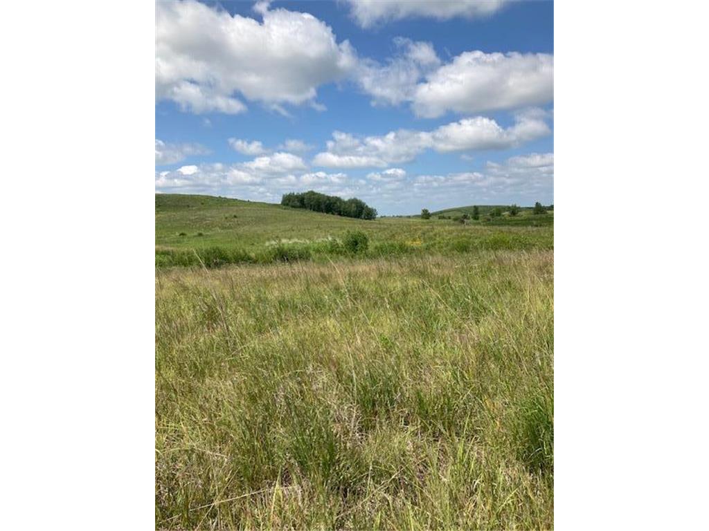 XXX 182 Avenue Glenwood MN 56334 6405318 image1