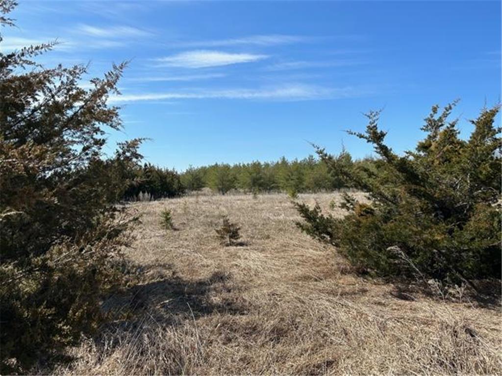 XXX 187th Street Glenwood MN 56334 6418819 image1