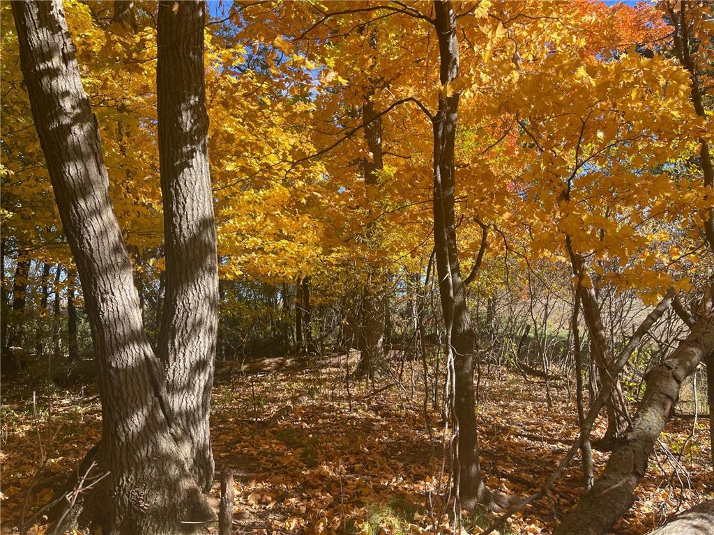 XXX 190th Street Eureka Twp WI 54824 6622902 image1