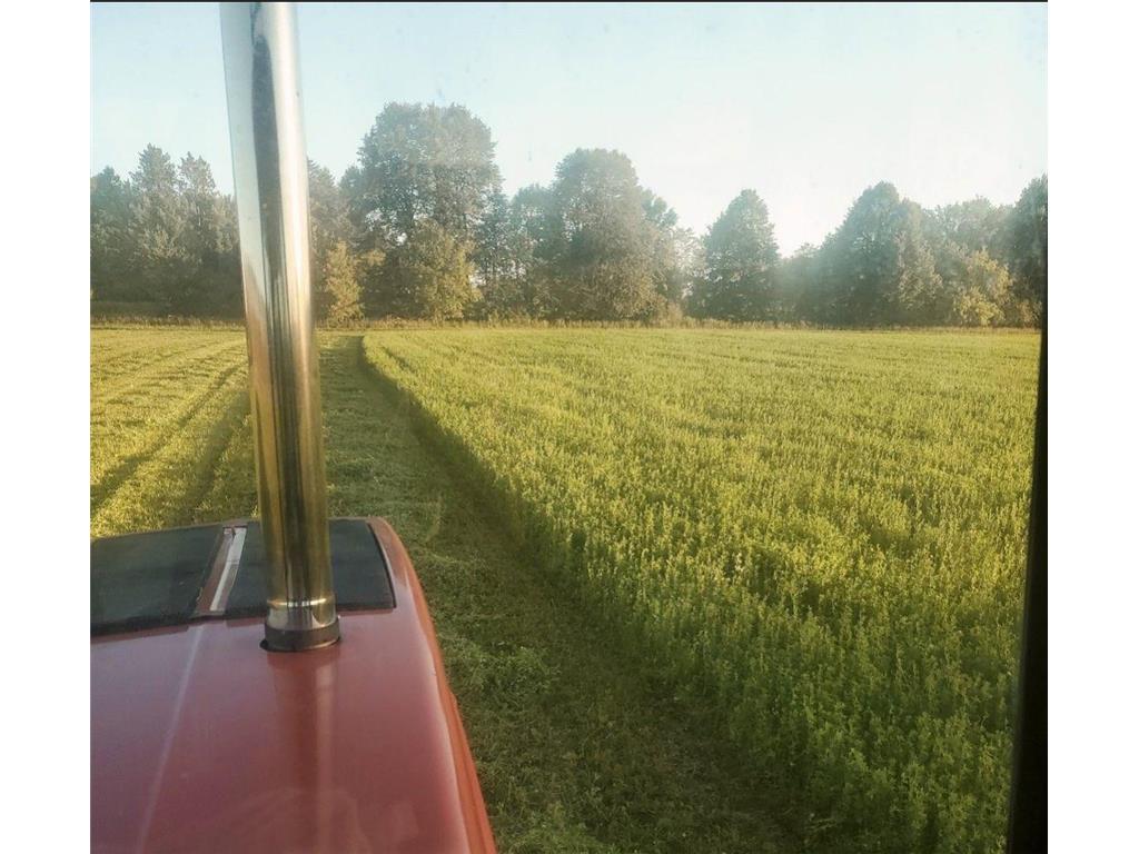 XXX 1st Street Turtle Lake Twp WI 54004 6504153 image1