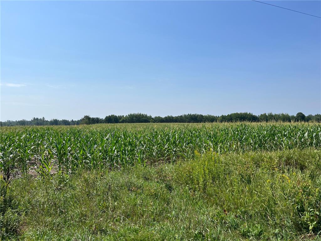 XXX 20 1/2 Avenue Stanfold Twp WI 54812 6413211 image1