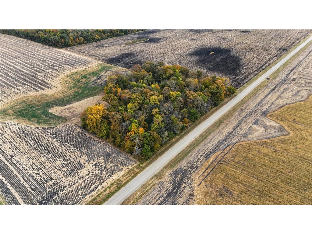 XXX 200th Street Arlington MN 55307 6713226 image1