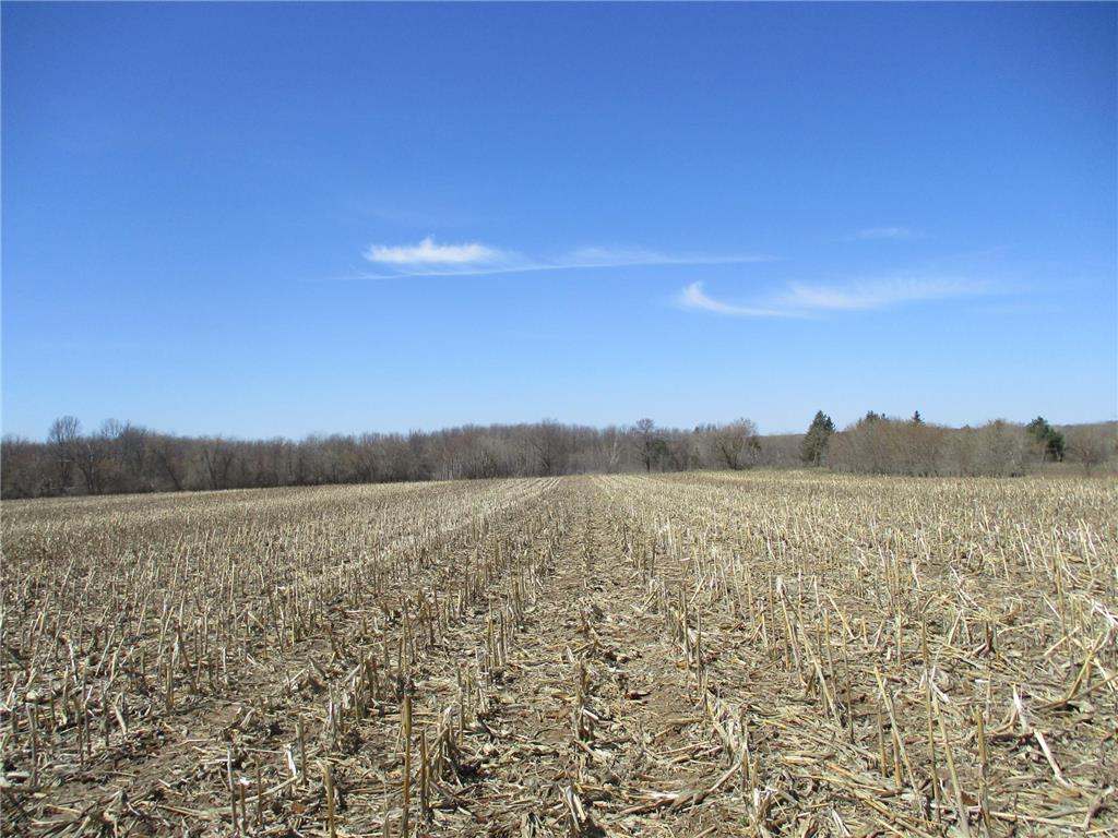 XXX 200th Street Saint Croix Falls WI 54024 6526469 image1