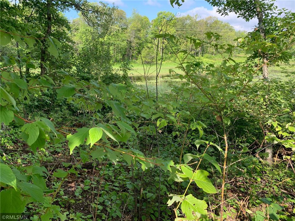 XXX 208th Place Mcgregor MN 55760 - Big Sandy 6405180 image1