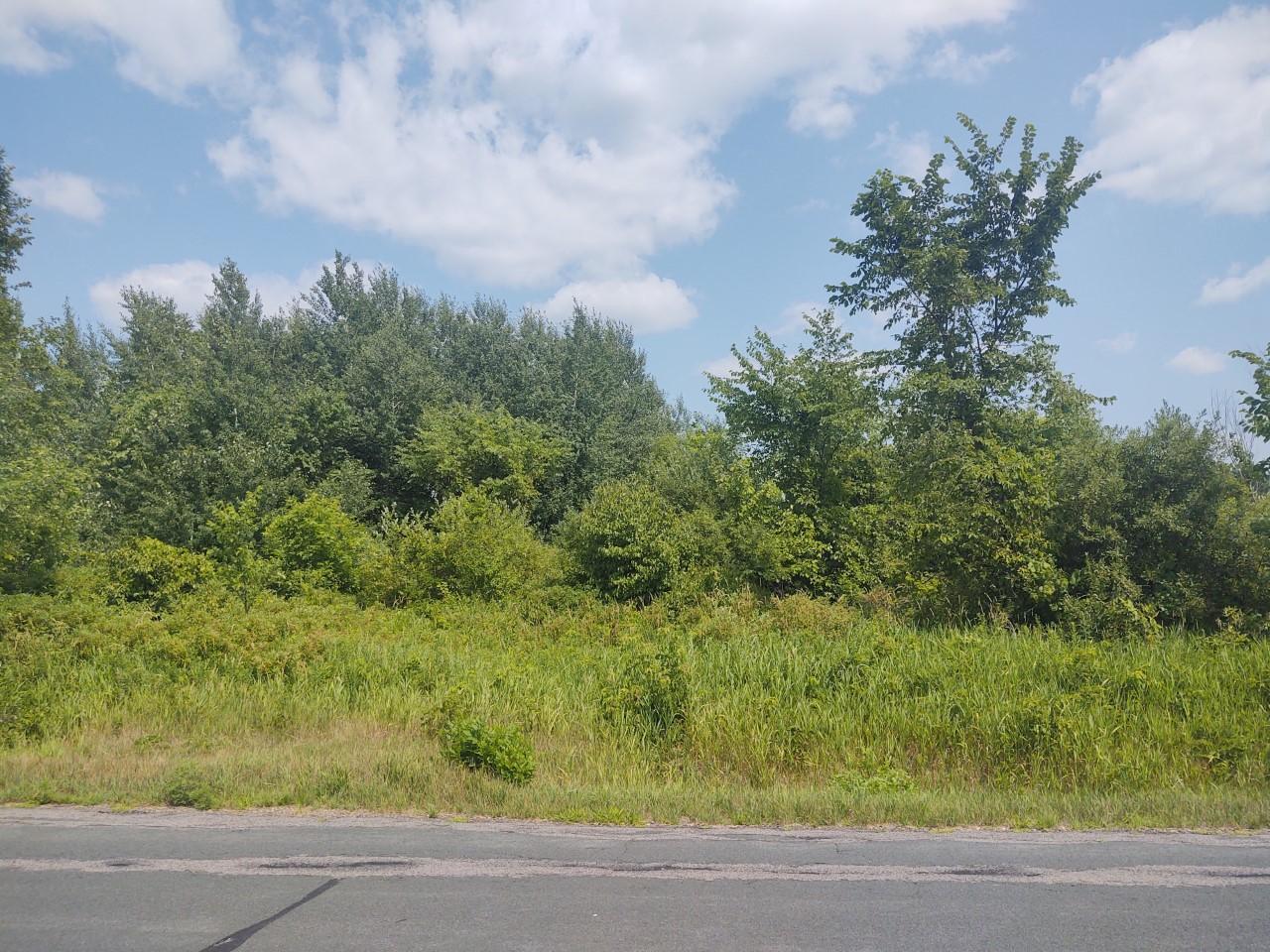 XXX 208th Street, Saint Croix Falls, WI 54024 MLS 6028953 Edina Realty