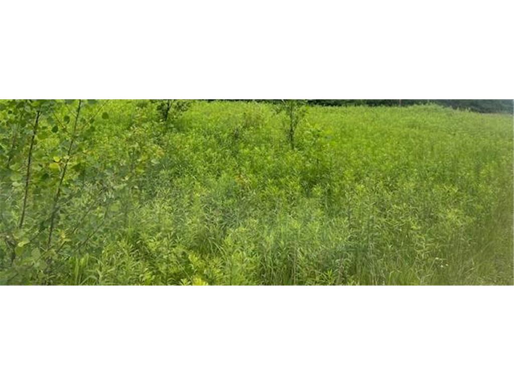 XXX 210th Street Milaca MN 56353 6773462 image1