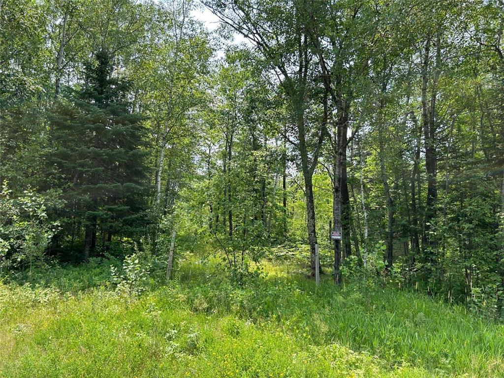 XXX 220th Street Seavey Twp MN 56350 6399985 image1