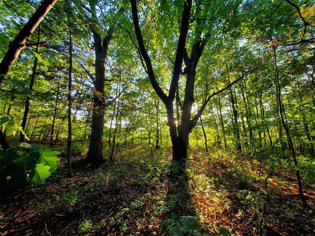 XXX 228th St. N. Scandia MN 55073 6416059 image1