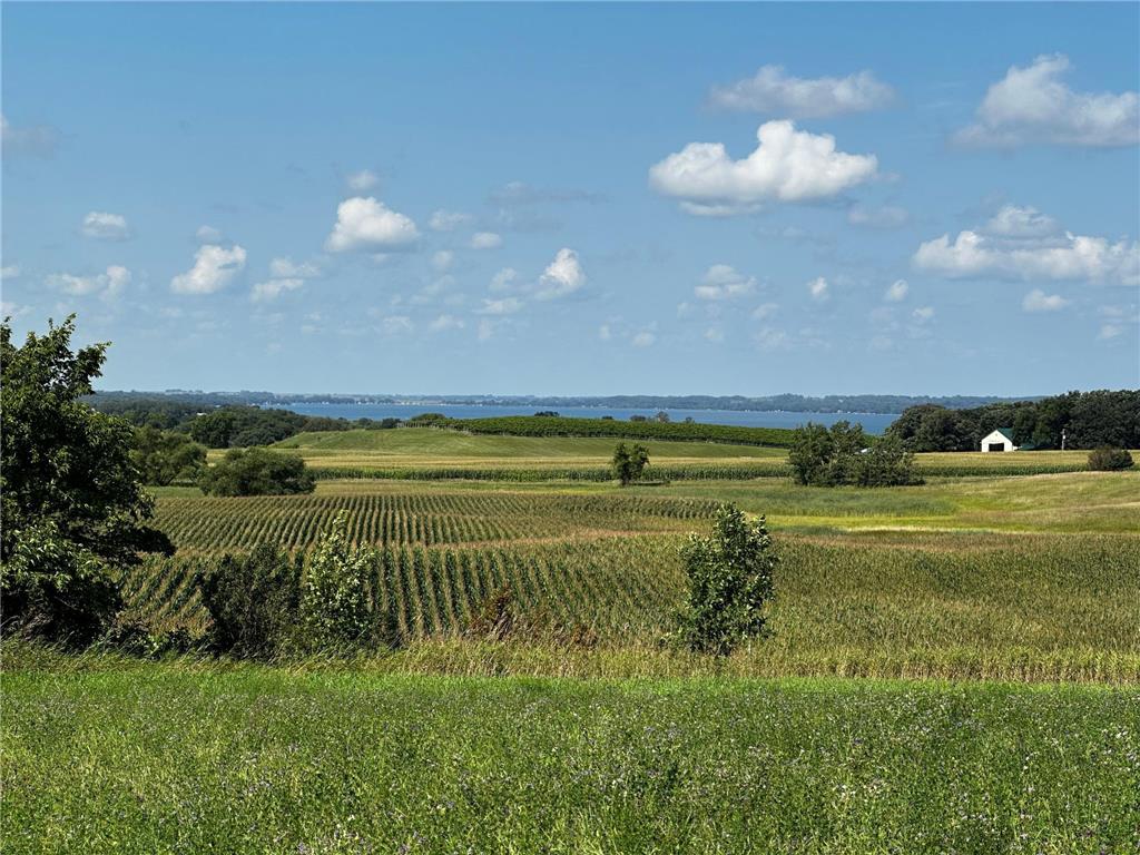 XXX 229th Avenue Glenwood Twp MN 56334 6678406 image1