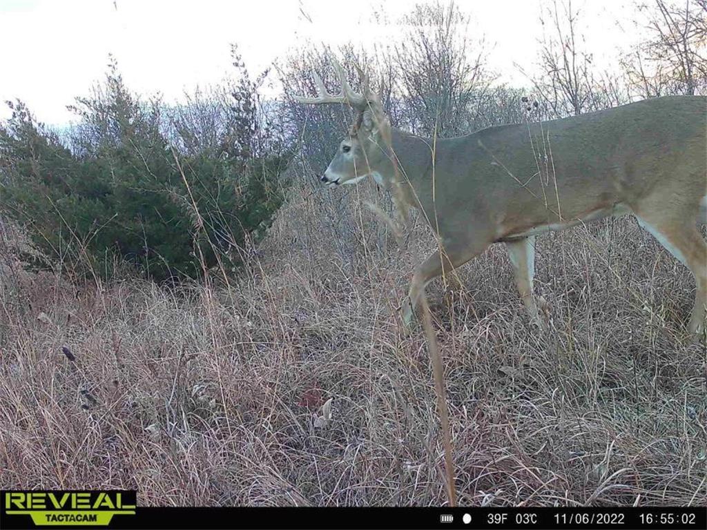 XXX 230th St Minnesota Lake Twp MN 56068 - Minnesota 6333049 image1