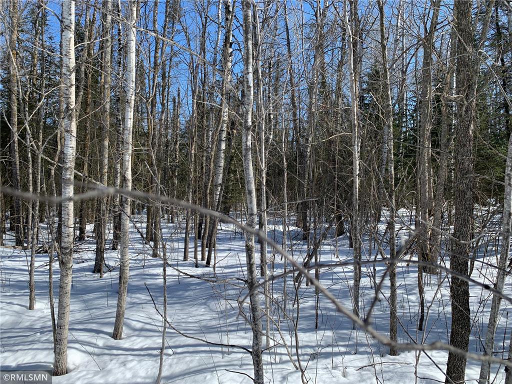 XXX 233rd Place Mcgregor MN 55760 - Mississippi 6350276 image1