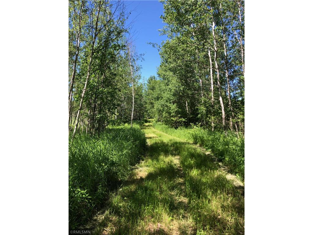 XXX 240th Avenue, Brook Park, MN 55007 MLS 6218707 Edina Realty