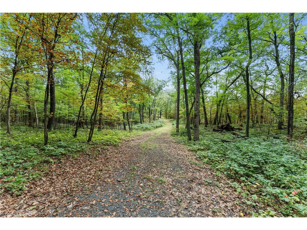 XXX 244th Street Eureka WI 54024 6792831 image1