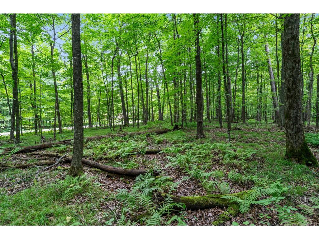 XXX 25 1/4 Avenue Maple Plain Twp WI 54829 6779761 image1