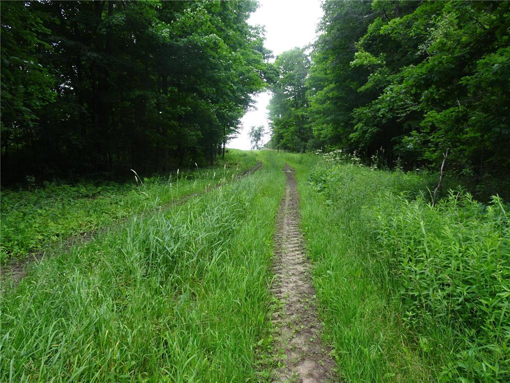 XXX 260th Avenue Luck WI 54853 6563557 image1