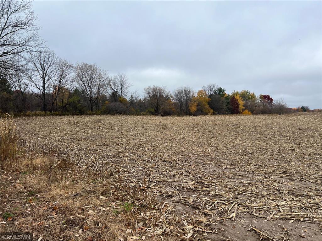XXX 260th Avenue Whited Twp MN 55051 6394705 image1