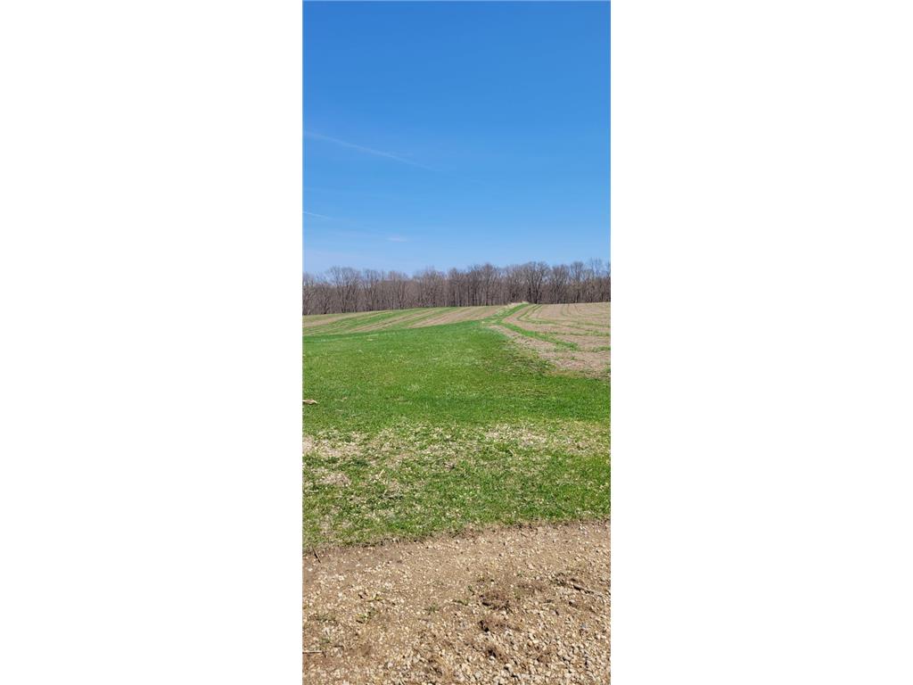 XXX 270th Avenue Salem Twp WI 54750 6706980 image1