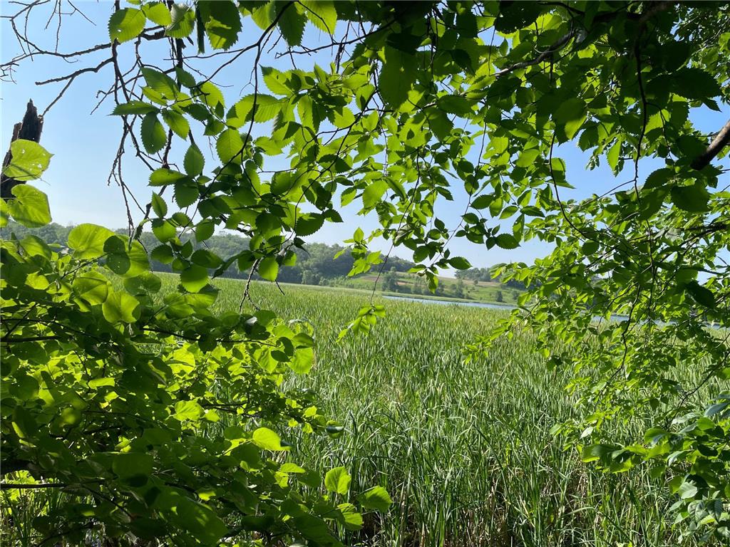 XXX 270th Avenue Starbuck MN 56381 6475038 image1