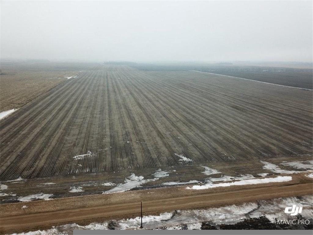 XXX 290th Ave. & 161st St. Dovray MN 56125 6486435 image1