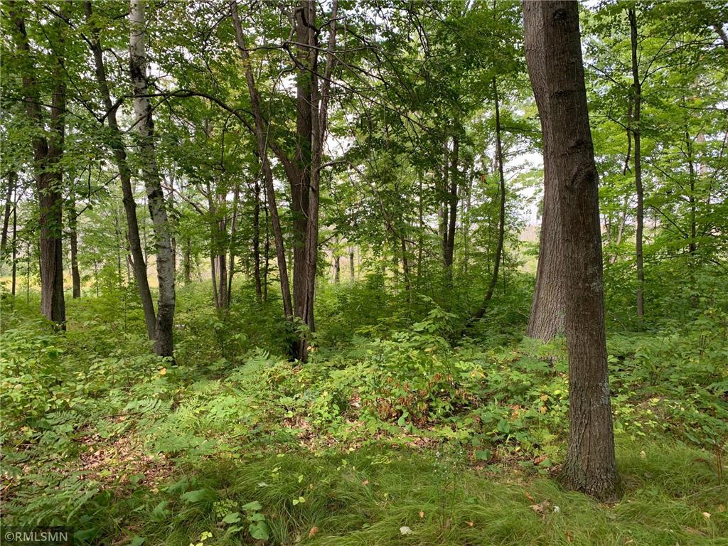 XXX 310th Place Aitkin MN 56431 6422862 image1