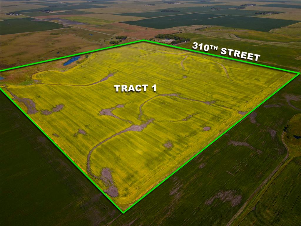 XXX 310th St Stevens Twp MN 56221 6599718 image1