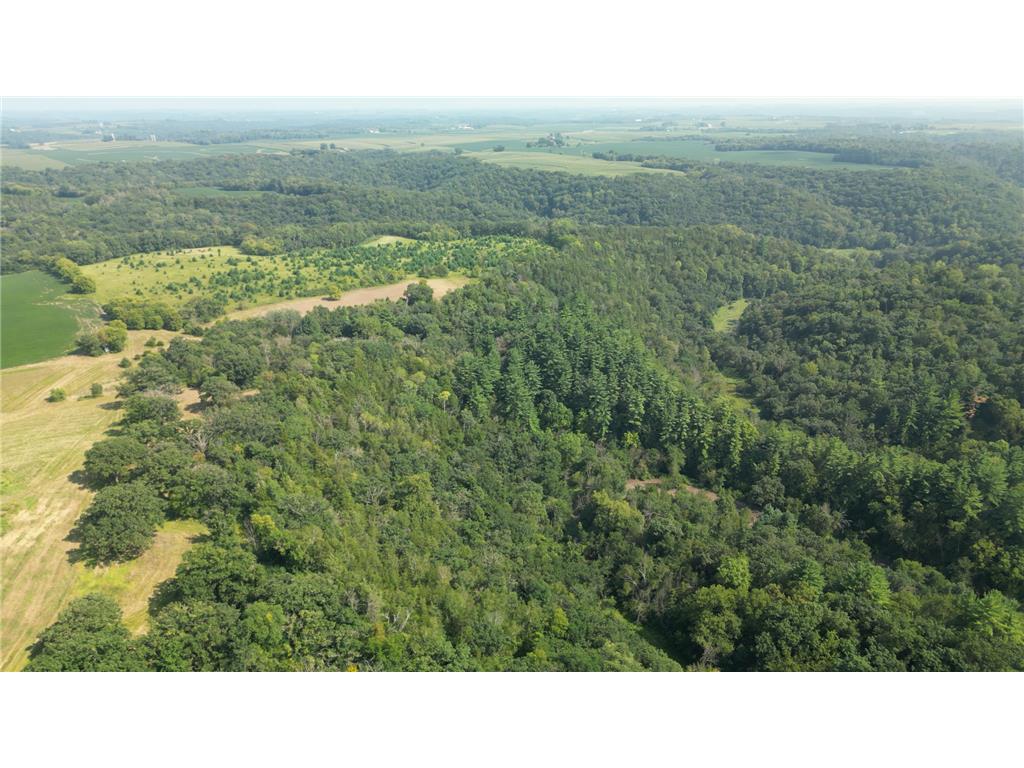 XXX 310th Street Pilot Mound Twp MN 55949 6587926 image1