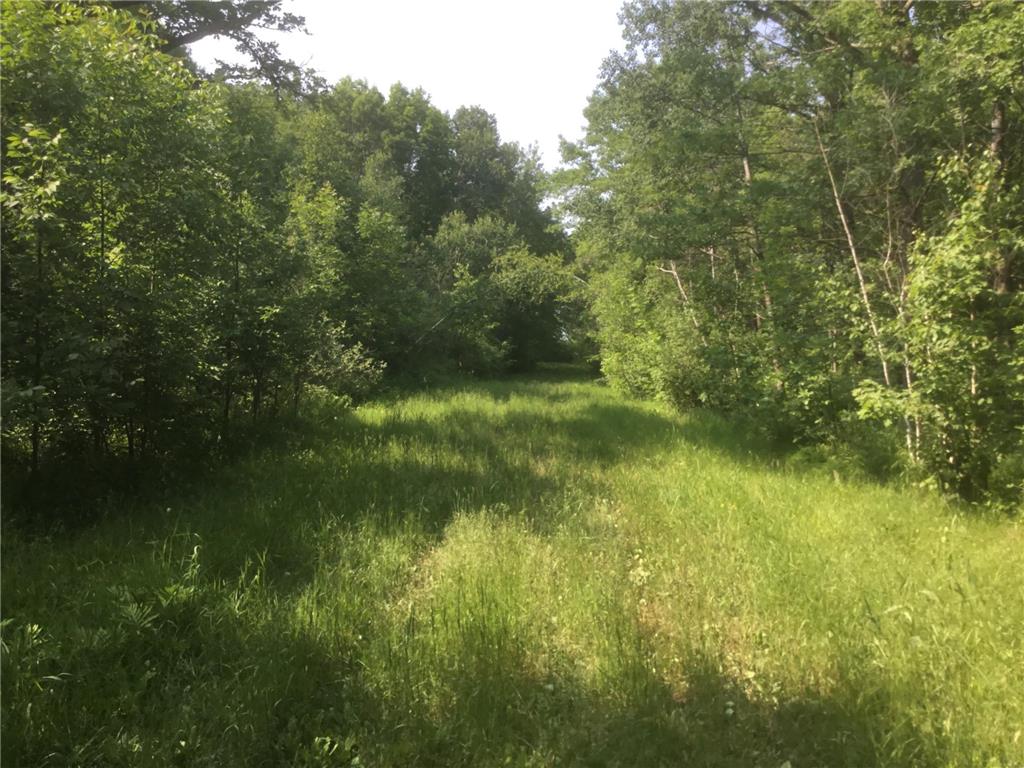 XXX 330th Street Bradbury Twp MN 56359 6387141 image1