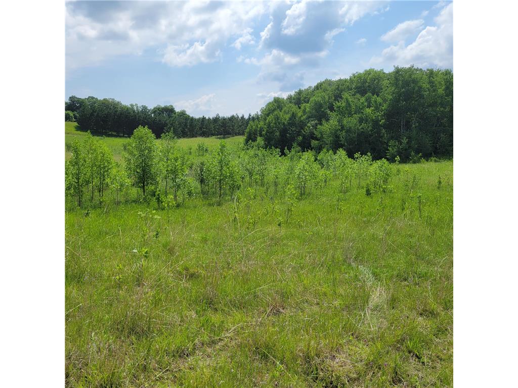 XXX 340th Avenue Everts Twp MN 56586 6502565 image1