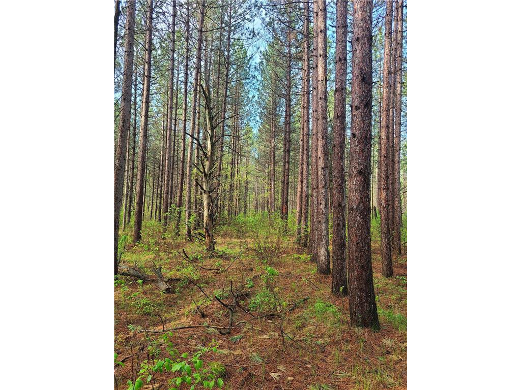 XXX 360th Ave Menahga MN 56464 6219374 image1