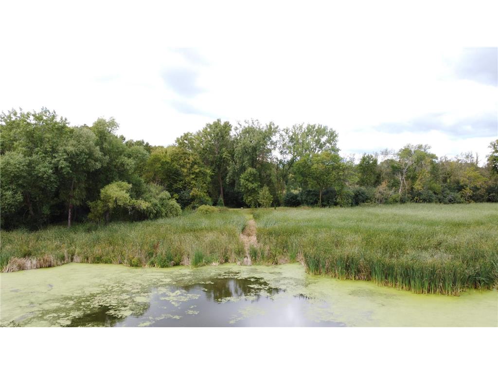 XXX 365th Street Watkins MN 55389 - Clear Lake 6787450 image15