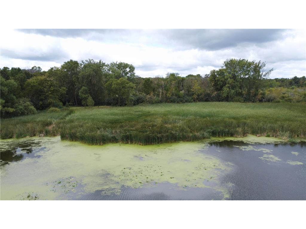 XXX 365th Street Watkins MN 55389 - Clear Lake 6787450 image7