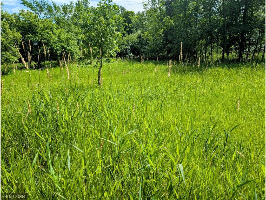 XXX 3rd Avenue SW Long Prairie MN 56347 6756242 image1