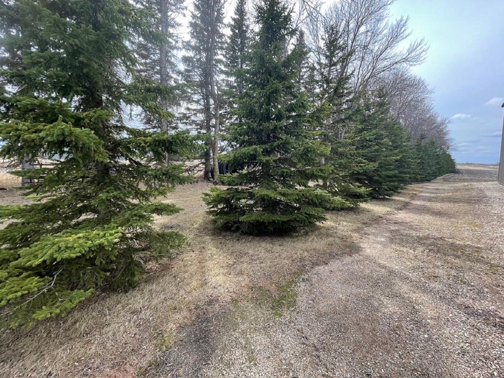 XXX 400th Street Waubun MN 56589 7058854 image5