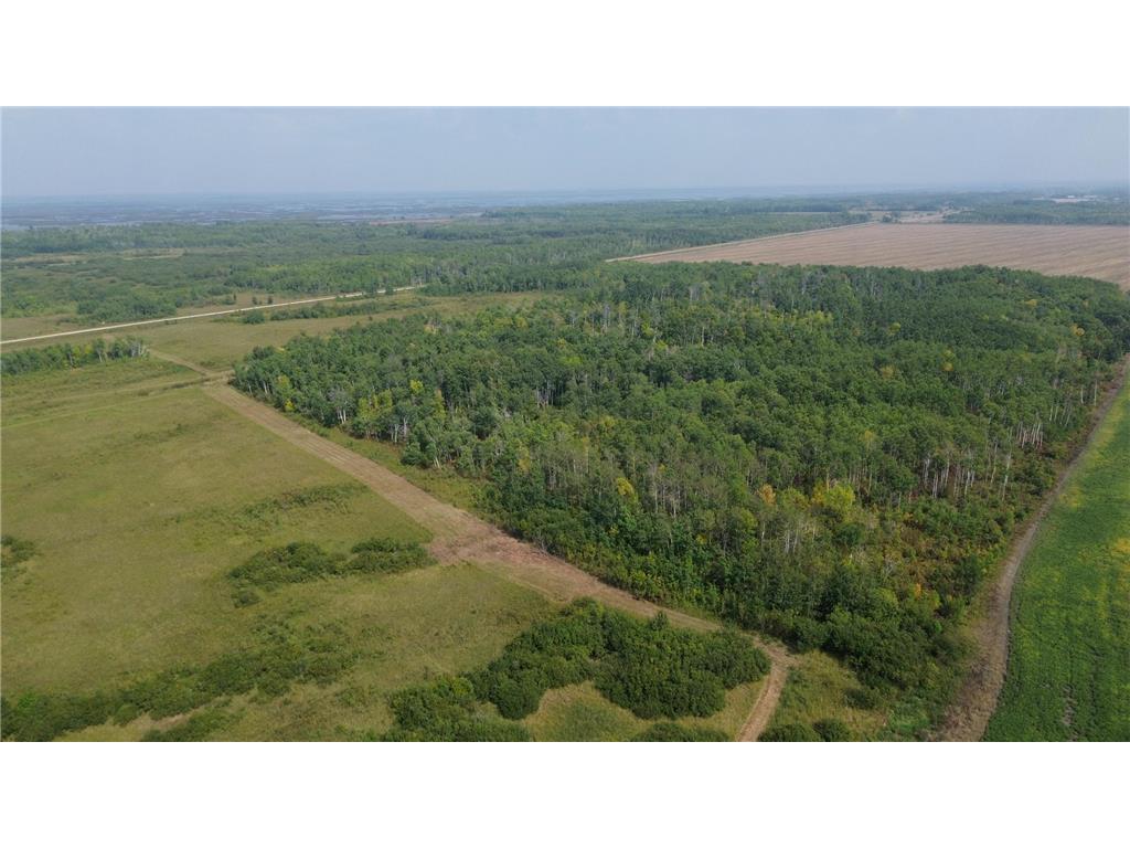 XXX 410th St NE, Middle River, MN, 56737 MLS 6424527 Edina Realty