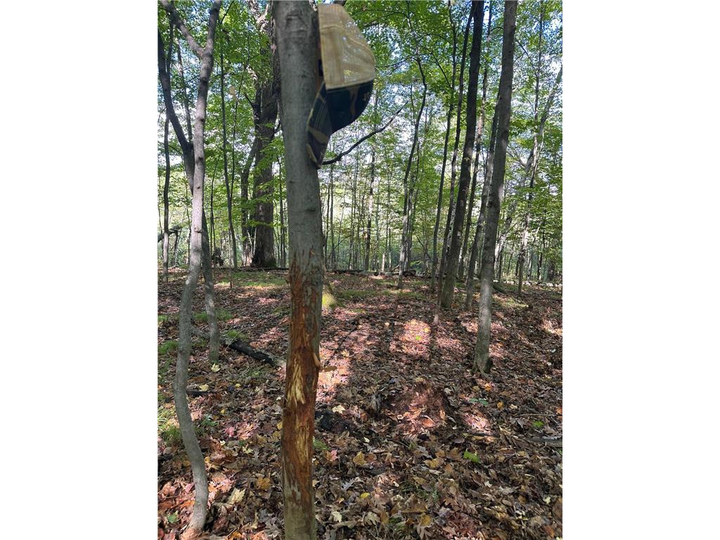 XXX 424th Street Harris MN 55032 6795342 image2