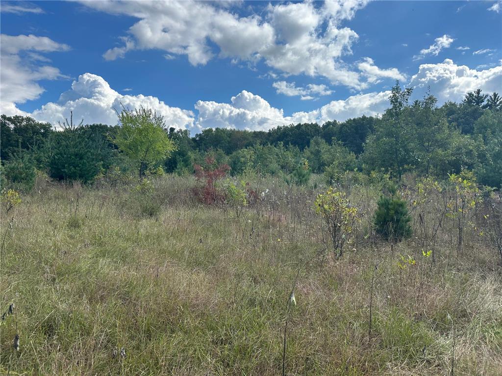 XXX 424th Street Harris MN 55032 6795342 image4