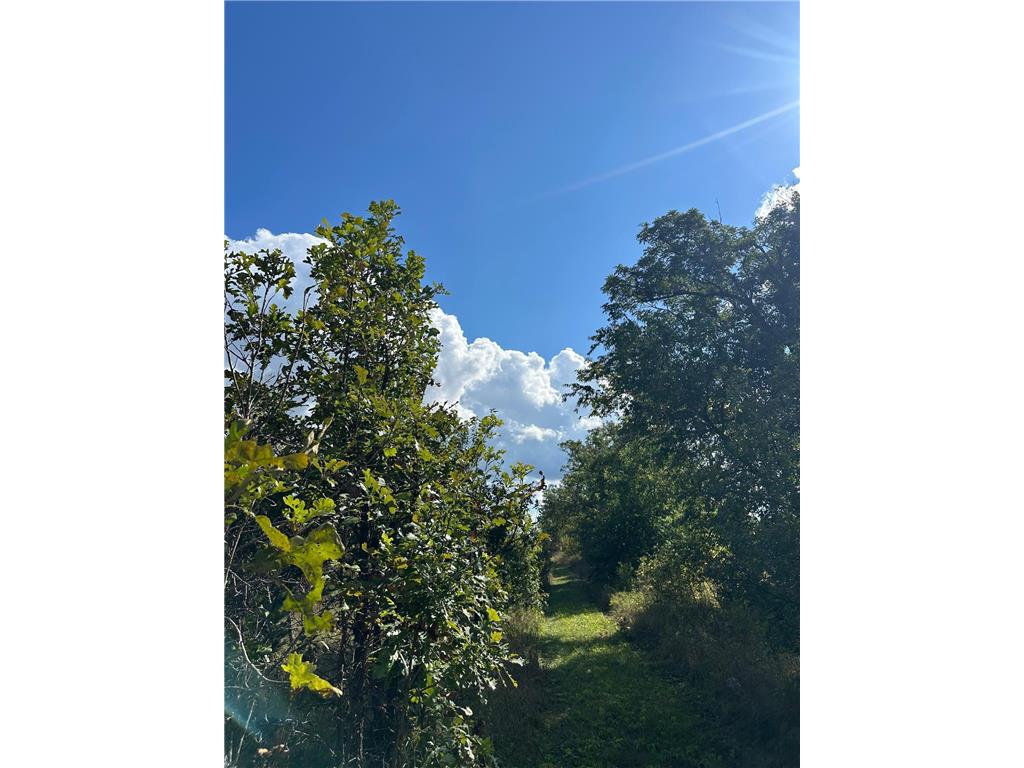 XXX 424th Street Harris MN 55032 6795342 image5