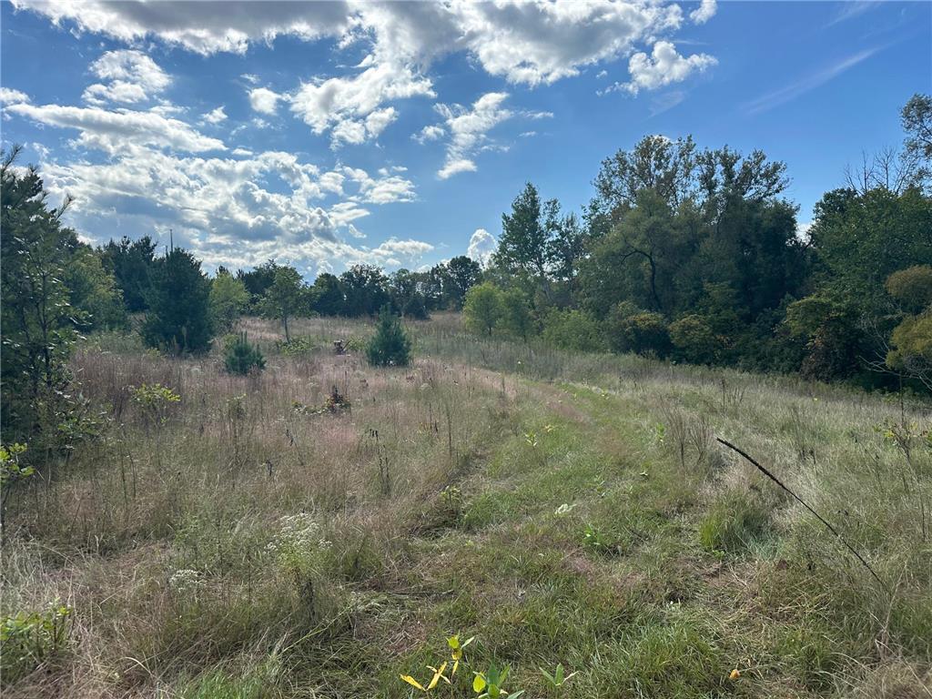 XXX 424th Street Harris MN 55032 6795342 image6