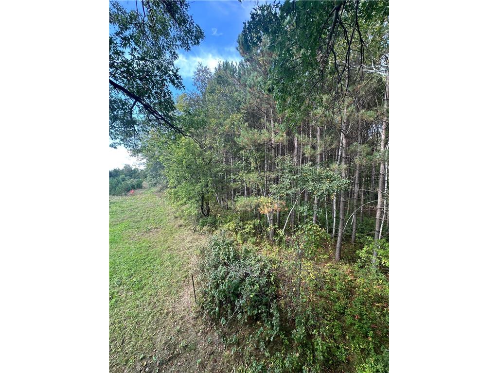 XXX 424th Street Harris MN 55032 6795342 image7