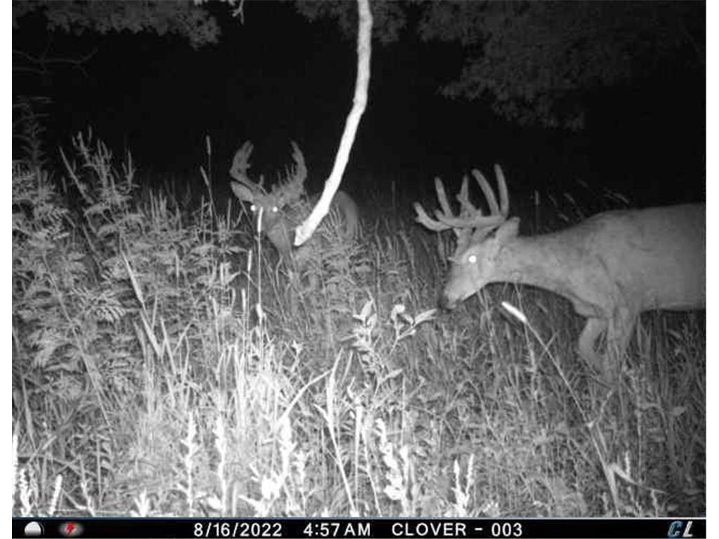 XXX 440th St Laporte MN 56461 6375136 image1