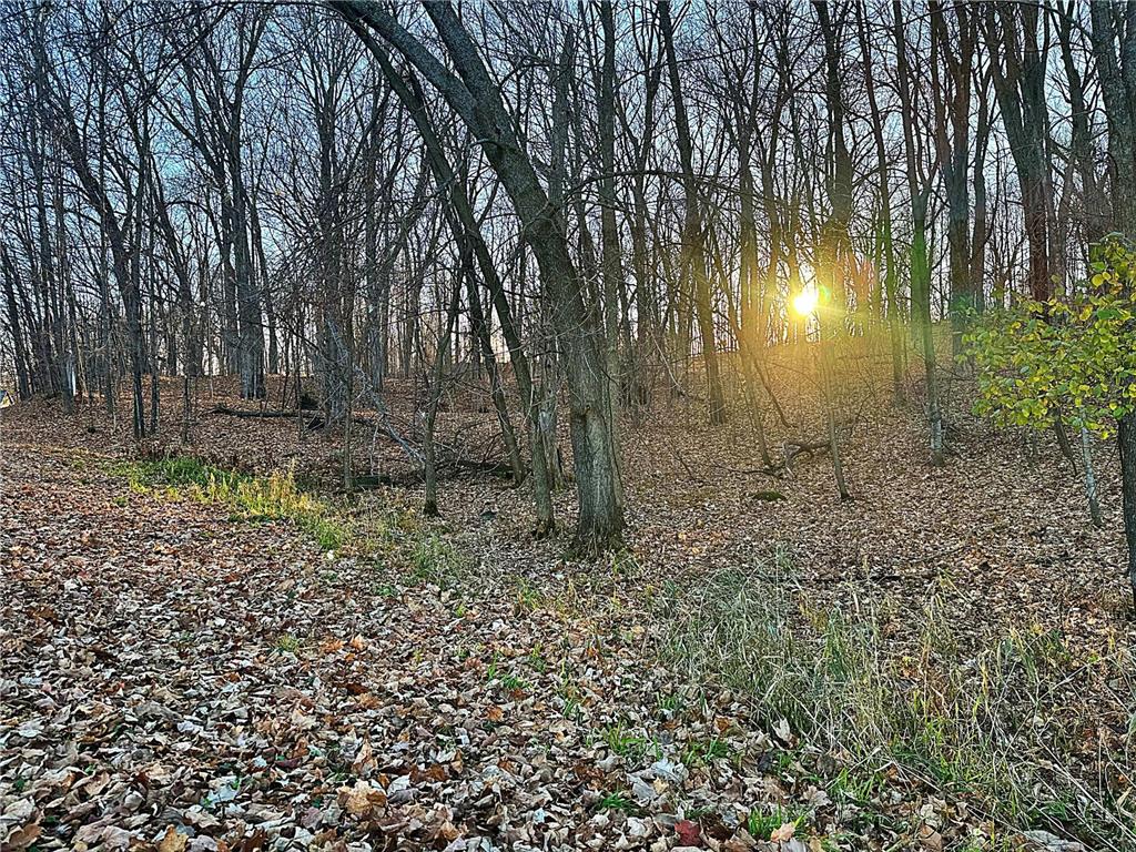 XXX 442nd Place Aitkin MN 56431 - Cedar Lake 6460443 image1